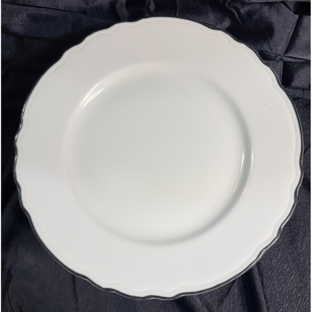 (4) STERLING VITRIFIED CHINA BLACK STRIPE RESTAURANT WARE 9.5" PLATE (2541)‎